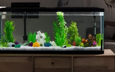 Best Low Profile Aquarium Hood: Top Tested Slim LED Picks