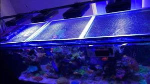 Best Mesh Lid for Aquarium: Top Tested DIY Screen Picks