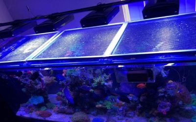 Best Mesh Lid for Aquarium: Top Tested DIY Screen Picks