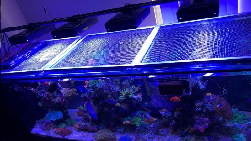 best mesh lid for aquarium