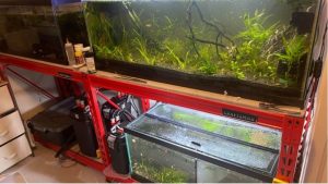 Best Metal Aquarium Rack: Durable and Practical Top Picks