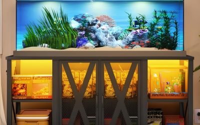 Best Metal Aquarium Stand Heavy Duty: Essential Perfect