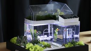 Best Mini Aquarium for Desk: Smart Picks for Small Spaces