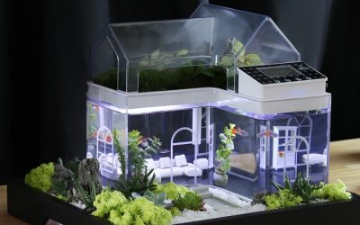 Best Mini Aquarium for Desk: Smart Picks for Small Spaces