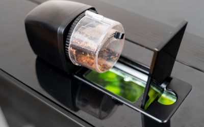 Best Moisture Proof Fish Feeder: 4 Proven Dry-Food Picks