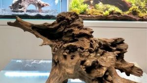 Best Mountain View Ornament for Fish Tank: Expert Guide