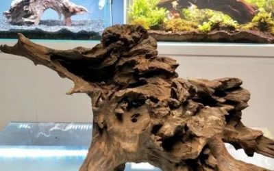 Best Mountain View Ornament for Fish Tank: Expert Guide