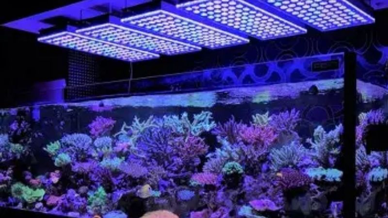 best mounting options for reef led light