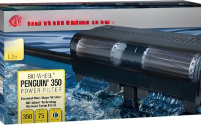 Best Multi Stage Aquarium Filter for Beginners: Top Picks