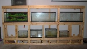 Best Multi Tier Steel Aquarium Rack For Fish Room: Tested