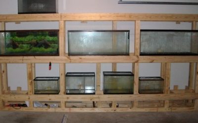 Best Multi Tier Steel Aquarium Rack For Fish Room: Compared