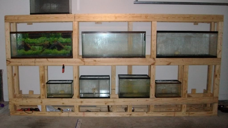 best multi tier steel aquarium rack for fish room
