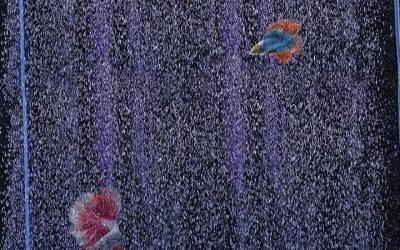 Best Nano Air Bubble Strip for Small Tanks: Buyer Guide