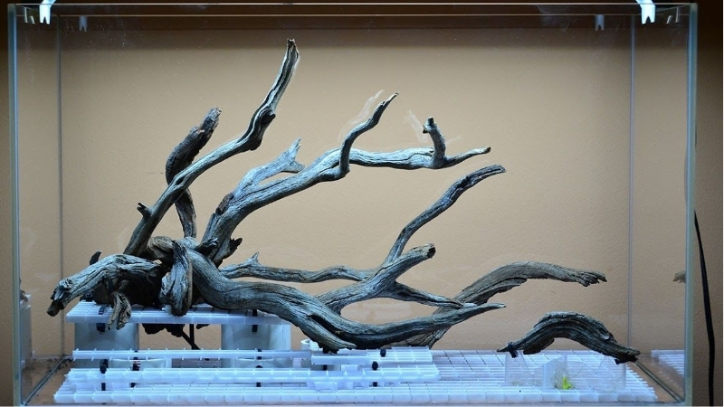 best natural driftwood branches for aquascaping