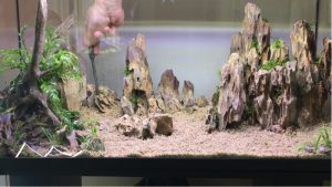 Best Natural Stone Decor for Aquascaping: Proven Top Picks