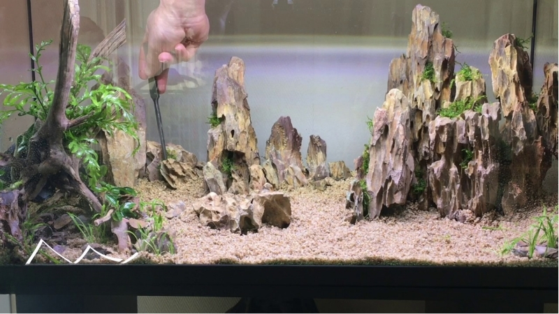 best natural stone decor for aquascaping
