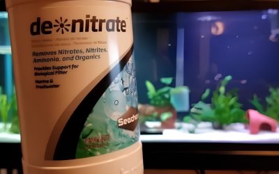 Best Nitrate Remover for Aquarium: A Careful Buyer Guide