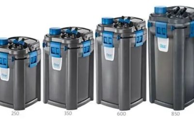 Best OASE BioMaster Canister Filter With Heater: Expert Pick