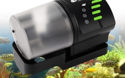 Best One Touch Automatic Fish Feeder: 4 Proven Easy Options