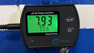 Best pH and Temperature Monitor for Aquarium: Expert Pick