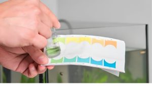 Best pH Pen for Aquarium Water: The Careful Expert Guide