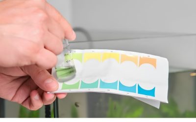 Best pH Pen for Aquarium Water: The Careful Expert Guide