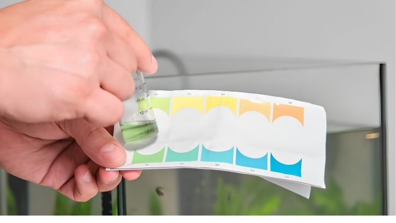 best ph pen for aquarium water