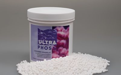 Best Phosphate Remover for Fish Tank: A Careful Buyer Guide