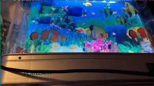 Best Plastic Fish Tank for Kids: Smart Family Selections