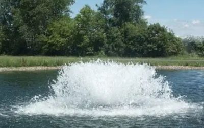 Best Pond Aerator for a 1000 Gallon Pond: Top Proven Picks