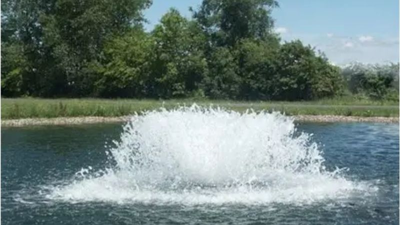 best pond aerator for a 1000 gallon pond