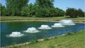 Best Pond Aerator for a 500 Gallon Pond: Top Proven Picks