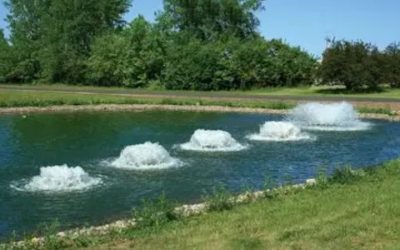 Best Pond Aerator for a 500 Gallon Pond: Top Proven Picks