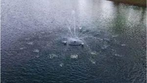 Best Pond Aerator for a Small Backyard Pond: Top Smart Picks