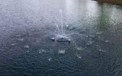 Best Pond Aerator for a Small Backyard Pond: Top Smart Picks