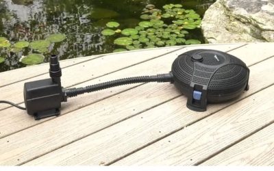 Best Pond Filter System for a 500 Gallon Pond: Strong Picks