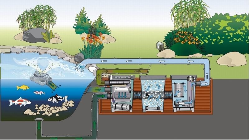 best pond filter system for a first pond