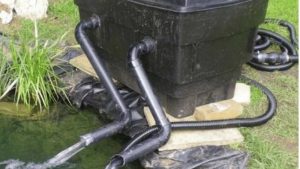 Best Pond Filter System for a Small Backyard Pond: Top Picks