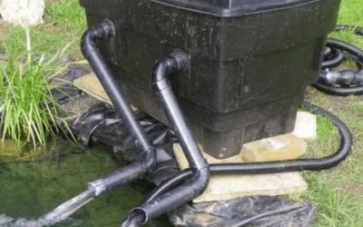 Best Pond Filter System for a Small Backyard Pond: Top Picks