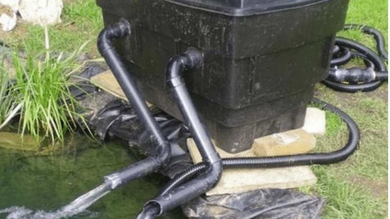 best pond filter system for a small backyard pond