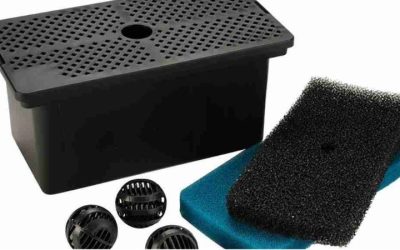 Best Pond Filter System for Algae Control: Clear Water Picks