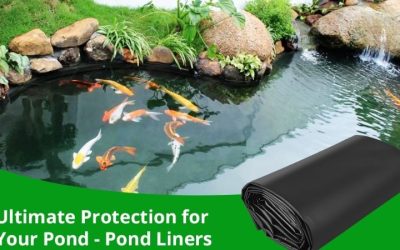 Best Pond Liner for a 500 Gallon Pond: Top Expert Picks