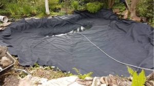 Best Pond Liner for a First Pond: Top Expert Buying Guide