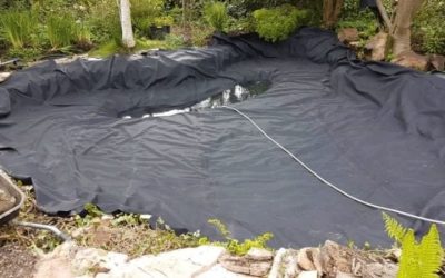 Best Pond Liner for a First Pond: Top Expert Buying Guide