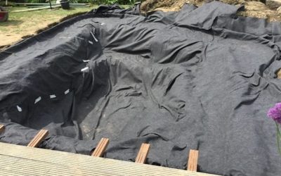 Best Pond Liner for a Koi Pond: Top Expert Buying Guide