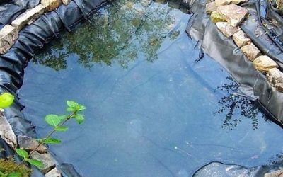 Best Pond Liner for a Waterfall: Top Expert Buying Guide