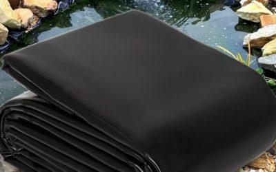 Best Pond Liner for Cold Winters: Top Expert Buying Guide