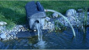 Best Pond Pump for a 1000 Gallon Pond: Top Top Picks