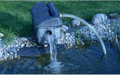 Best Pond Pump for a 1000 Gallon Pond: Top Tested Picks
