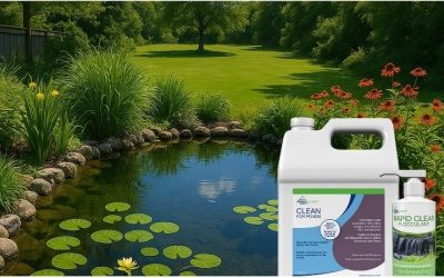 Best Pond Pump for Algae Control: Expert-Tested Top Picks